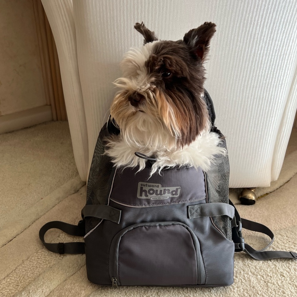 Like New Outward Hound Front Dog Carrier